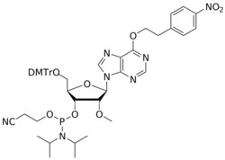 STA PHARMACEUTICAL US LLC&nbsp;2'-OMe O6-NPE-I amidite | 1 g | InChIKey WOXYNKAZRDURES-WBHVIXSUSA-N | MW 933.999761998