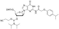 STA PHARMACEUTICAL US LLC&nbsp;ANA 2'-F G(iPr-pac) amidite | 200 mg | InChIKey XMOAKDDRWSAKSB-ZHBPRSLGSA-N | MW 964.045165161