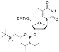 STA PHARMACEUTICAL US LLC&nbsp;DNA T OTBSE-amidite | 5 g | CAS 173440-40-9 | InChIKey OPKCOYPGFFHUTD-STPYIPAVSA-N