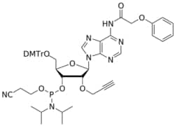 STA PHARMACEUTICAL US LLC&nbsp;2'-propargyl A(pac) amidite | 1 g | InChIKey IACAIOROZYTJFW-KJMRTUCVSA-N | MW 942.022761998