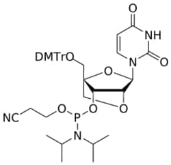 STA PHARMACEUTICAL US LLC&nbsp;LNA U amidite | 1 g | CAS 206055-76-7 | MDL MFCD30475596
