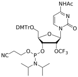 STA PHARMACEUTICAL US LLC&nbsp;2'-OTFM C(Ac) amidite | 1 g | CAS 869734-91-8 | InChIKey VECFWZPFXRVLKY-HCIBFWJXSA-N
