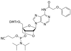 STA Pharmaceutical&nbsp;LNA A(pac) amidite | 1 g | InChIKey RHUYJRYFCPQBIE-LXTWGDFWSA-N | MW 915.984761998