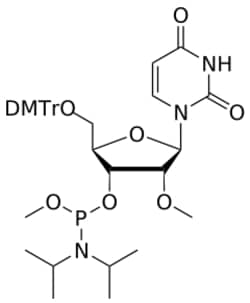STA PHARMACEUTICAL US LLC&nbsp;2'-OMe U OMe-amidite | 25 g | CAS 110764-77-7 | InChIKey ZFAYUVCJJLJWPV-KQBWMQIQSA-N