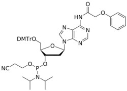 STA PHARMACEUTICAL US LLC&nbsp;DNA A(pac) amidite | 1 g | CAS 110543-74-3 | MDL MFCD00058443