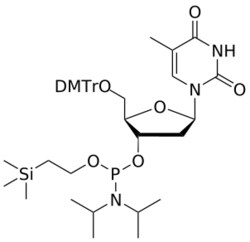 STA PHARMACEUTICAL US LLC&nbsp;DNA T OTMSE-amidite | 5 g | CAS 173653-44-6 | InChIKey NNVPFTLWHLNMEV-PGQAEHPOSA-N