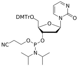STA PHARMACEUTICAL US LLC&nbsp;DNA Pyrimidinone amidite | 5 g | InChIKey BDMHLLCCELPLNH-VFGRKNEYSA-N | MW 714.799761998