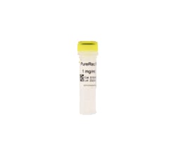 Zymo Research Corporation&nbsp;PureRec RNase A