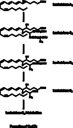 Cayman Chemical&nbsp;Cysteinyl Leukotriene Express
