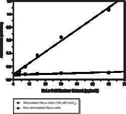 Cayman Chemical&nbsp;HIF1a Transcription Factor As