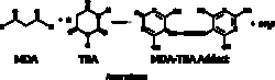 Cayman Chemical TBARS Assay Kit Immunoassay Ki