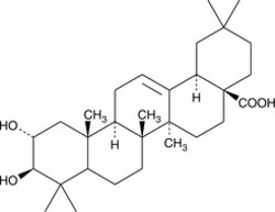 Cayman Chemical&nbsp;Maslinic Acid Inhibitors