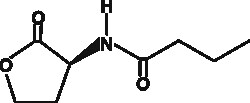 Cayman Chemical&nbsp;NbutyrylLHomoserine lactone