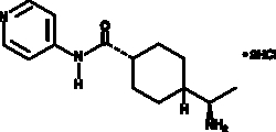 Cayman Chemical Y27632 hydrochloride, Quantity: Each of 1