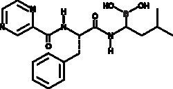 Cayman Chemical&nbsp;Bortezomib Inhibitors