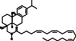 Cayman Chemical&nbsp;Arachidonic Acid Leelamide