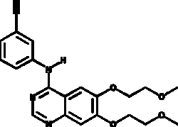 Cayman Chemical&nbsp;Erlotinib Inhibitors