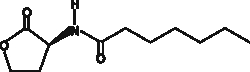 Cayman Chemical NheptanoylLHomoserine lactone
