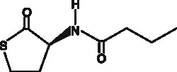 Cayman Chemical NbutyrylLHomocysteine thiolac