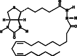 Cayman Chemical&nbsp;Linoleic Acidbiotin
