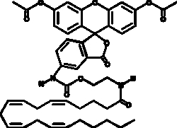 Cayman Chemical&nbsp;CAY10455 Fatty Acids and Deriv