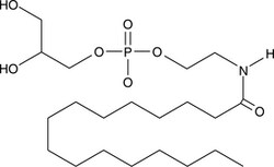 Cayman Chemical GlycerophosphoNPalmitoyl Etha