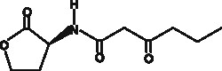 Cayman Chemical N ketocaproylLHomoserine lac