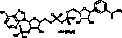 Cayman Chemical NADP   sodium salt hydrate