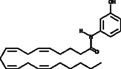 Cayman Chemical N 3hydroxyphenylArachidonoyl