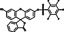 Cayman Chemical&nbsp;Pentafluorobenzenesulfonyl fl