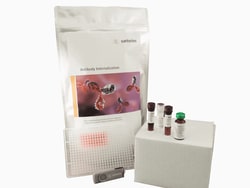 Sartorius&nbsp;Human Multi Ab Internalization