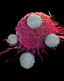 Sartorius iQue NK Cell Killing Kit