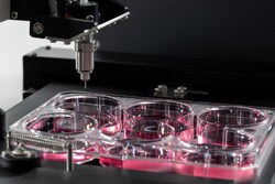 Sartorius&nbsp;Package ScrapeTip 1000 µm  96