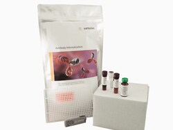 Sartorius Human Multi Ab Internalization, Quantity: Each of 1