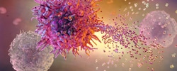 Sartorius&nbsp;Human T Cell Killing Kit