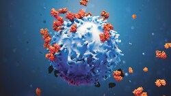 Sartorius&nbsp;Human T Cell Killing Kit