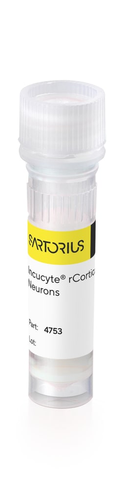 Sartorius Incucyte rCortical Neurons