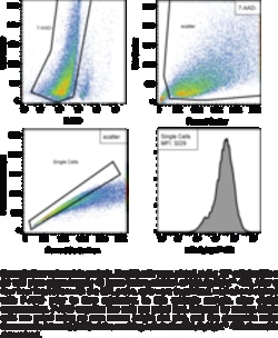 Cayman Chemical&nbsp;LDL Uptake Flow Cytometry48tSt