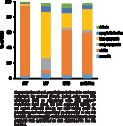 Cayman Chemical&nbsp;Early ApoptosIs DetectIon