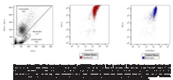 Cayman Chemical&nbsp;E. coli Phagocytosis Assay Kit, 100 test