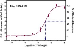 Cayman Chemical&nbsp;FFAR4 (GPR120) Reporter Assay Kit, 1 ea