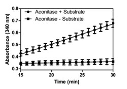 Cayman Chemical&nbsp;Aconitase Assay Kit, 96 Well