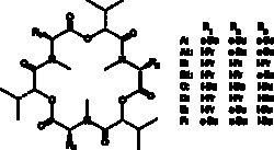 Cayman Chemical&nbsp;EnIatIn Complex 50mg