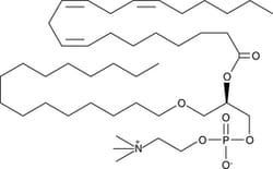 Cayman Chemical&nbsp;1Ohexadecyl2DIhomoLIno 10mg