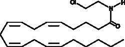 Cayman Chemical&nbsp;ArachIdonyl 2CLOroethylam 10mg