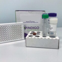 Cayman Chemical&nbsp;Mouse Liver X Receptor Beta Reporter Assay System, 96 Well