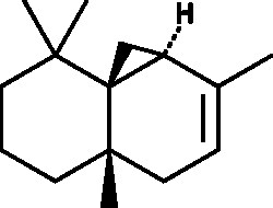 Cayman Chemical&nbsp;SynthetIc Thujopsen 1mg