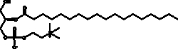 Cayman Chemical 2Stearoylsnglycero3PC 2.5mg