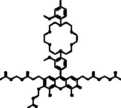 Cayman Chemical&nbsp;ANTIBODY IPG-2 AM 500ug