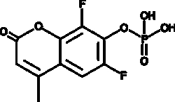 Cayman Chemical&nbsp;ANTIBODY DIFMUP 1mg
